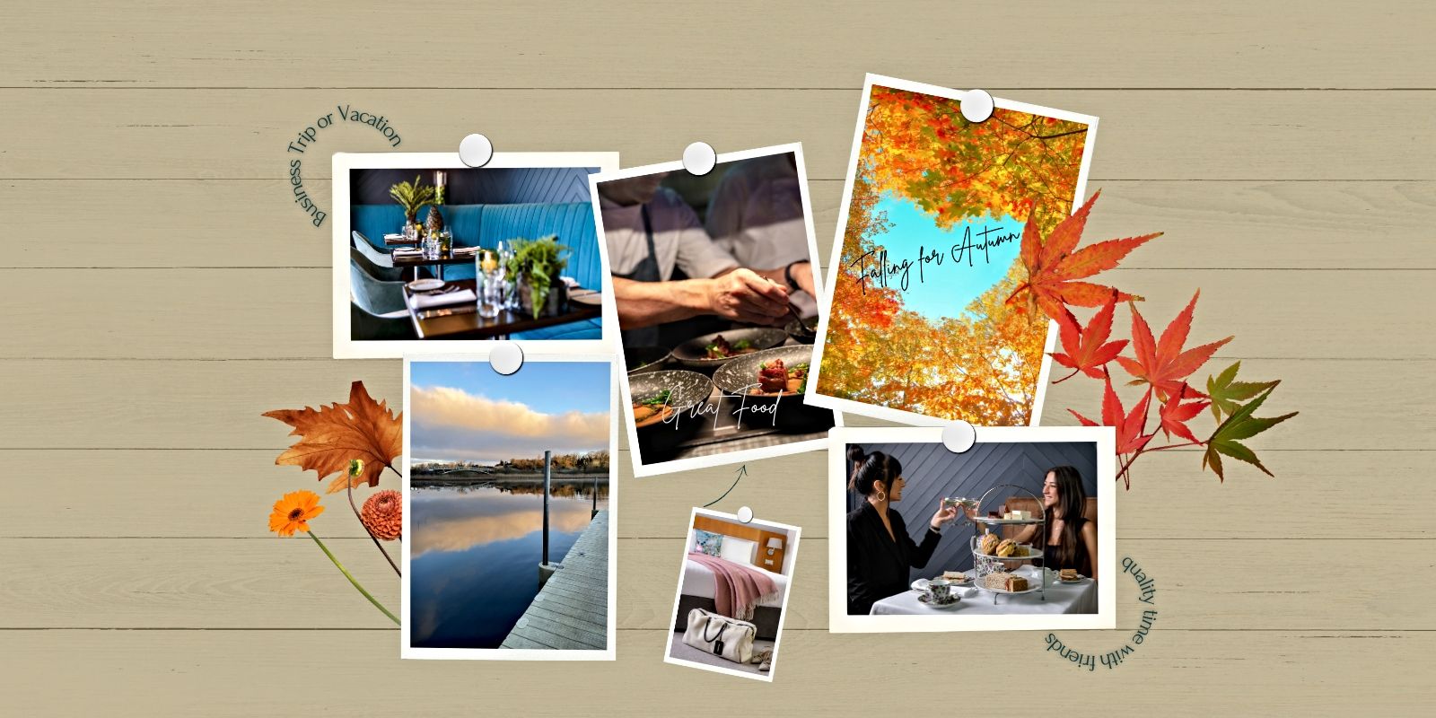 Falling for autumn Ellison Hotel