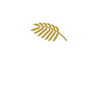 Palmerstown House